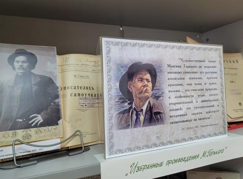 Книжно-иллюстративная выставка "Судьба писателя - судьба России"