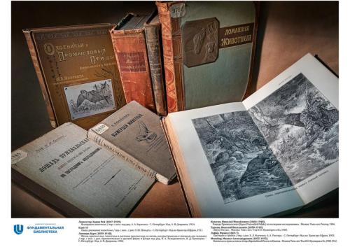 Фотографии книжных шедевров экспозиции книг и периодических изданий «Наследие русских охотников»