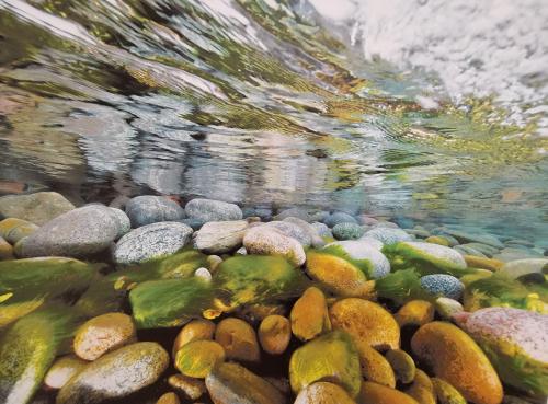 Фотовыставка Ольги Каменской "AquaPaint"